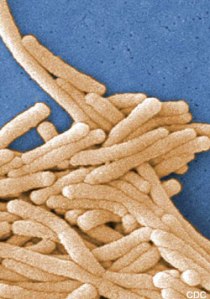 TOLL-LIKE RECEPTOR SIGNALING